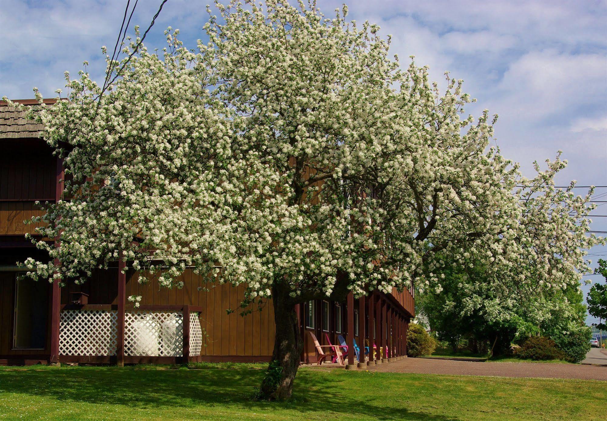 Tidal Bore Inn Truro Exterior foto